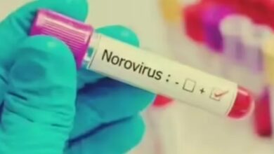 Photo of हंटावायरस के बाद Norovirus क आवागमन, फ्रांस मा क्रूज शिप पर पेट के छुआछूत क खतरा