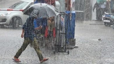 Photo of देहरादून समेत आठ जिला मा आज बरखा के यलो अलर्ट