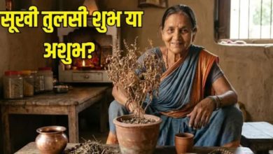 Photo of का आपके घर मां भी अहै सूखी तुलसी? नकारात्मक ऊर्जा से बचाव खातिर करइ इ छोट-मोट काम